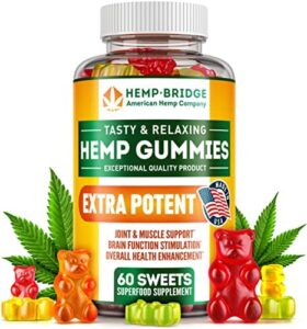 HEMPBRIDGE Hemp Gummies – Designed in United states of america – Safe and All-natural Omega 3 Health supplement with Hemp Oil for Pain and Inflammation Aid – Max Value in Just about every Gummy – Nutritional vitamins B & E and Omega 3, 6, 9-60 Pcs