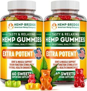 HEMPBRIDGE Pack of 2 Hemp Gummies – Made in United states – Omega 3 Dietary supplement with Hemp Oil – Fruity Gummies for Joints, Muscular tissues, Relax, Calm, Slumber, Pores and skin and Nails